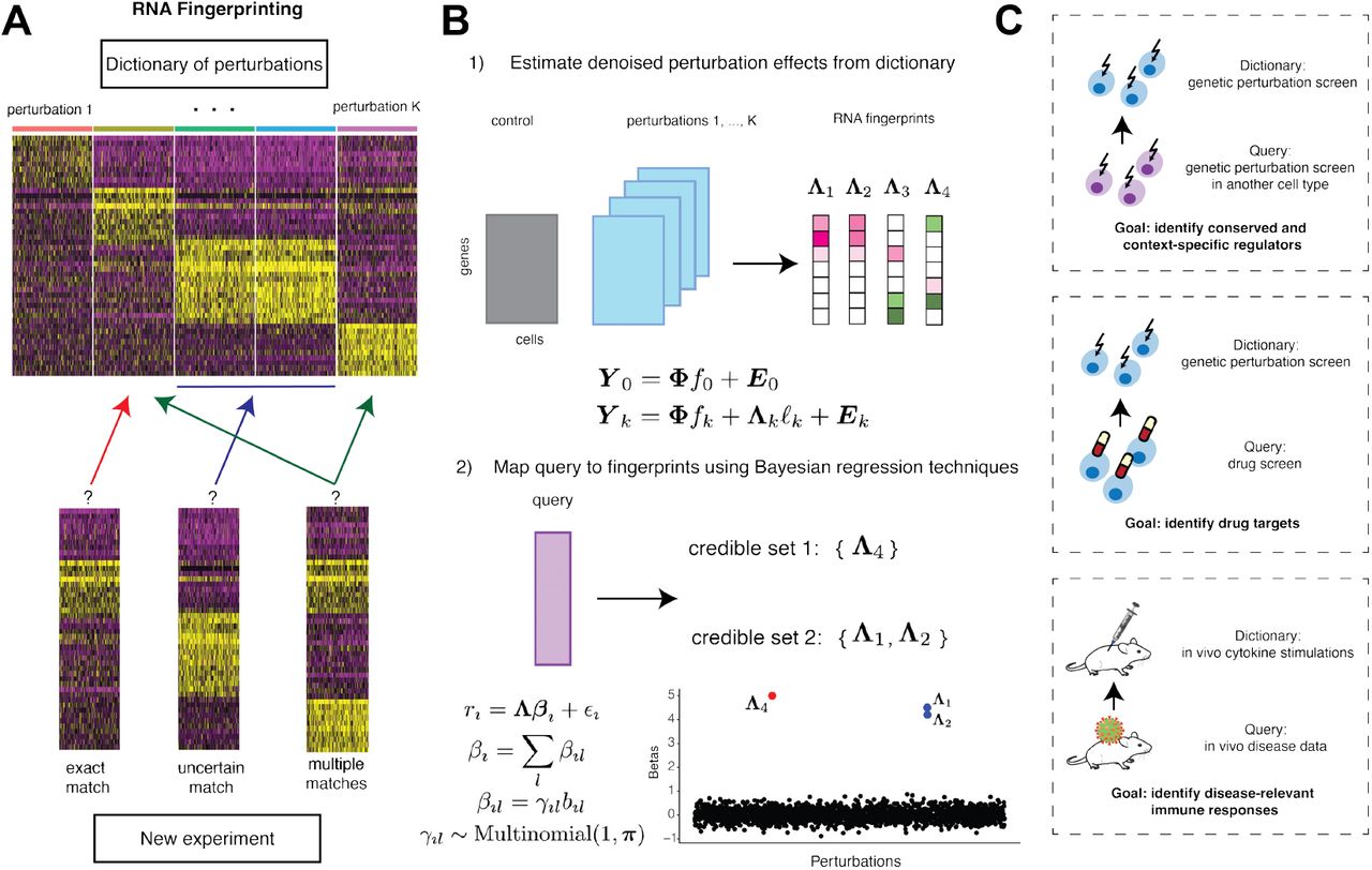 Long Island City Plot